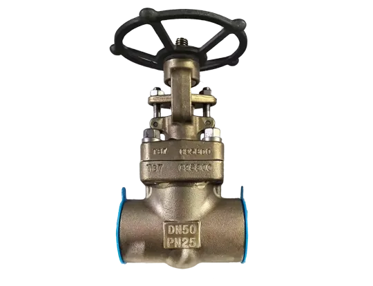 Aluminum Bronze Gate Valves